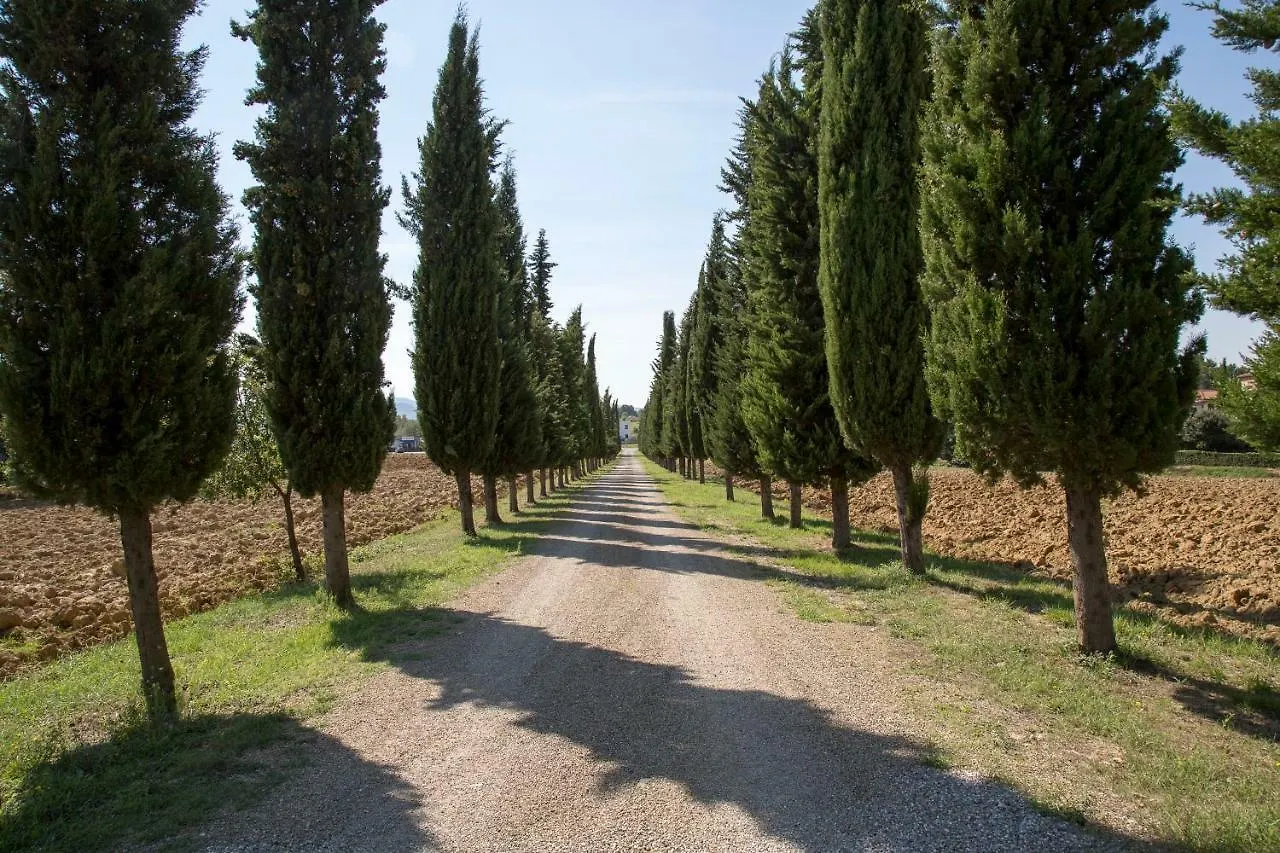 Aparthotel Tuscany Resort Occhini Castiglion Fibocchi